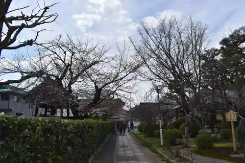 本満寺（本願満足寺）のその他建物