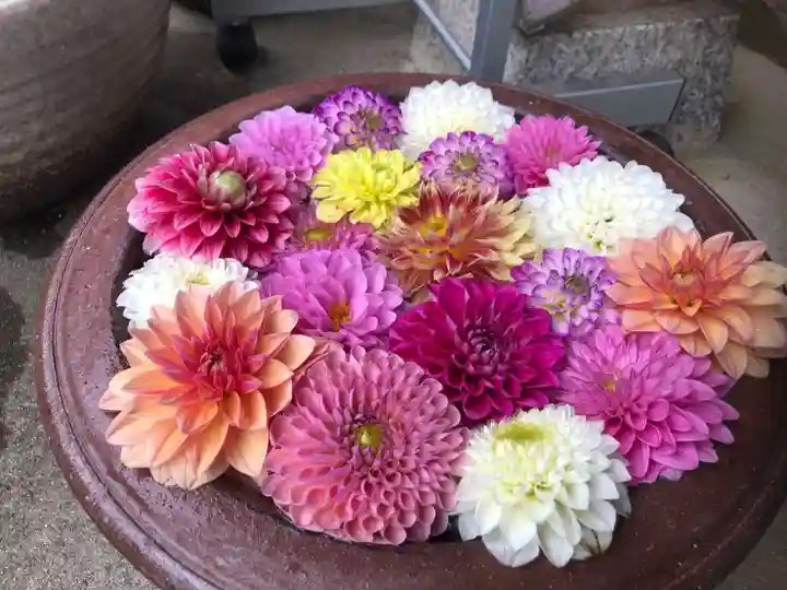 岡寺(龍蓋寺)(奈良県)