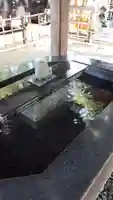 新琴似神社の手水舎