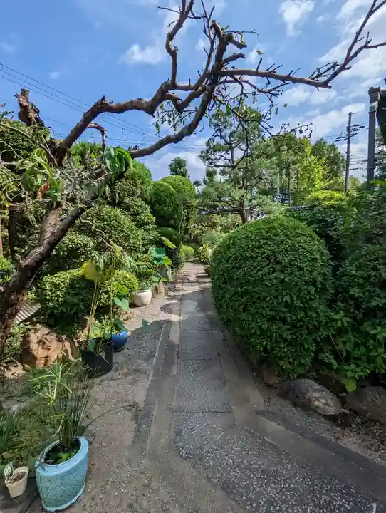 西蓮寺(京都府)