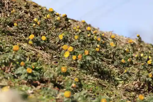 正観音堂の自然