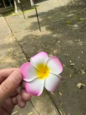 熊野神社のおみくじ