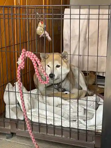 笠䅣稲荷神社(神奈川県)