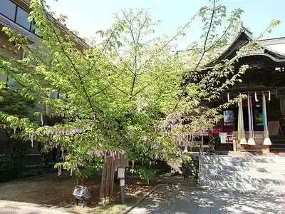 桜神宮のその他建物