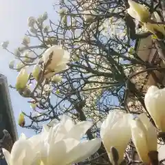 神明社（国府宮神明社）の周辺