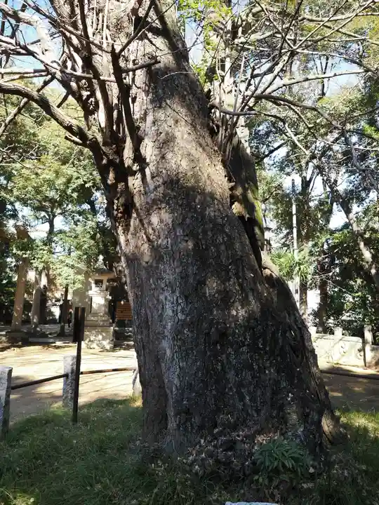 赤坂氷川神社(東京都)