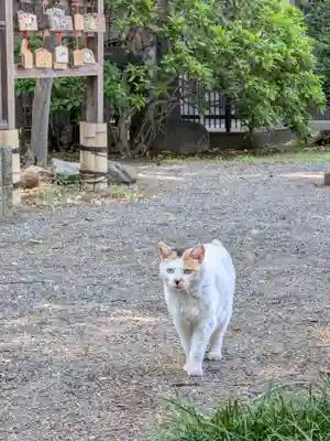 平塚神社(東京都)