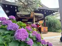 御霊神社(奈良県)