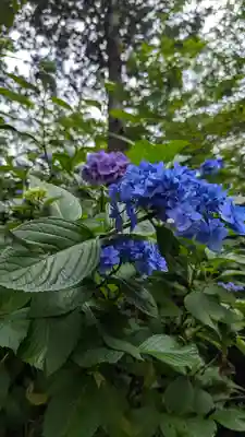 真正極楽寺(真如堂)(京都府)