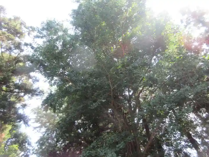 網戸神社(栃木県)