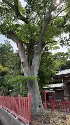 住吉神社(福島県)