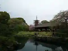 浅草寺の庭園