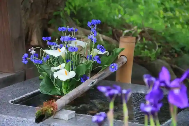 高司神社〜むすびの神の鎮まる社〜の手水舎