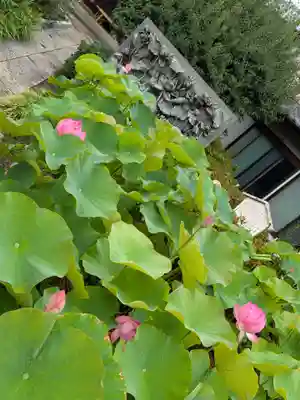 長善寺(東京都)