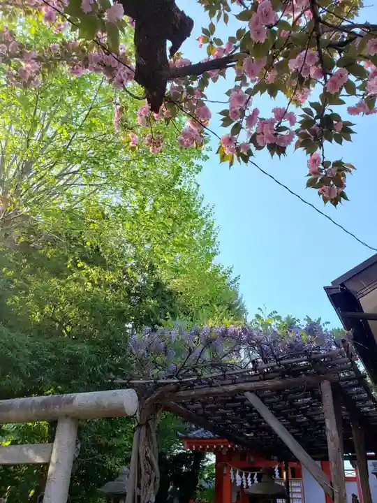 藤神稲荷神社(東京都)