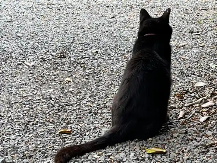 梅宮大社(京都府)