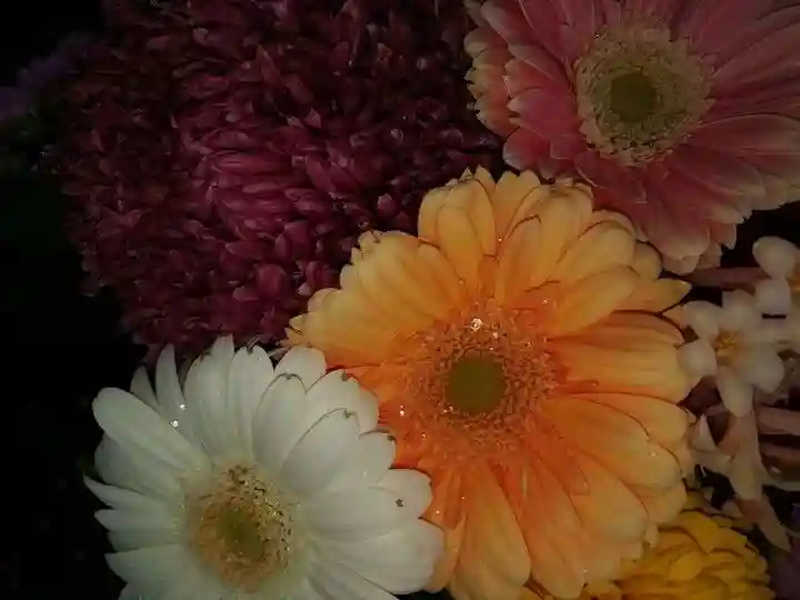 豊景神社(福島県)