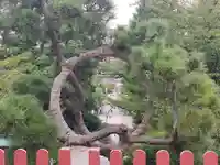 清水観音堂(東京都)