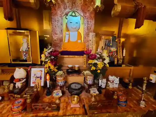 猫猫寺(京都府)