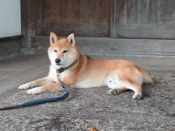 感通寺(東京都)