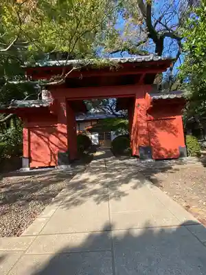 豪徳寺(東京都)