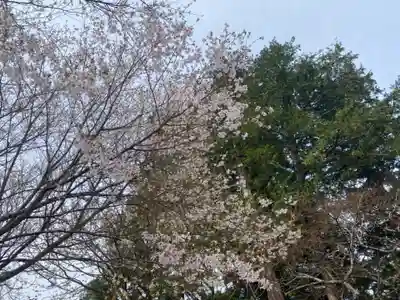 亀麿神社の自然