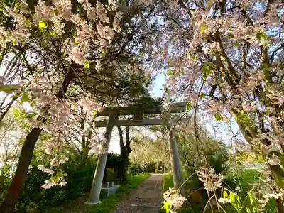 皆神神社(長野県)