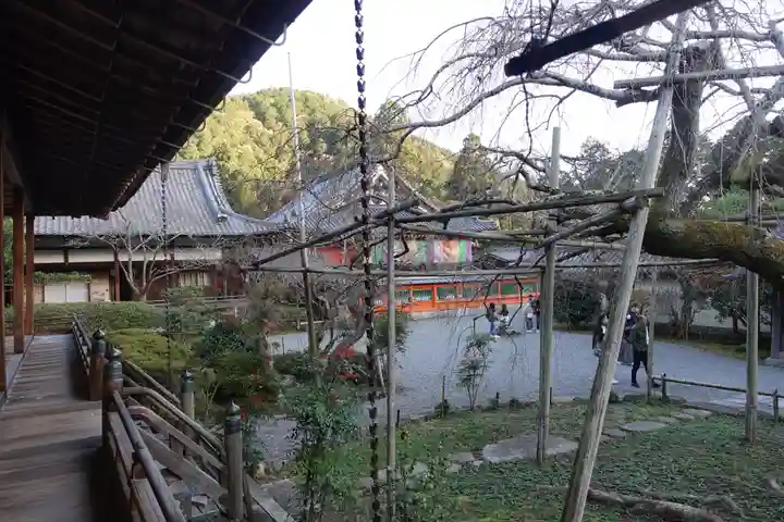 毘沙門堂門跡(京都府)