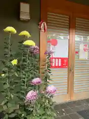 戸越八幡神社(東京都)