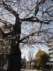 矢口氷川神社(東京都)