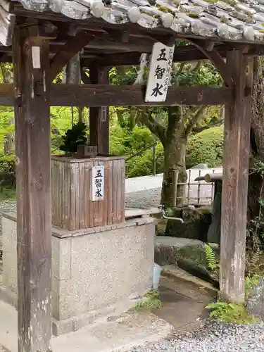 今熊野観音寺(京都府)