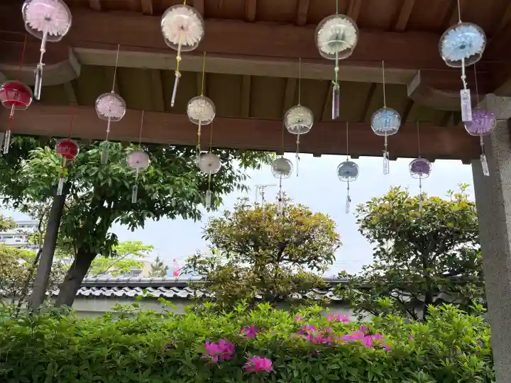 伊和志津神社の{uncategorized: "未分類", other: "その他", undefined: "問題あり", building: "その他建物", grave: "お墓", sacred_gate: "鳥居", guardian: "狛犬", statue: "像", buddha: "仏像", history: "歴史", nature: "自然", garden: "庭園", animal: "動物", pagoda: "塔", temizu: "手水舎", mountain_gate: "山門・神門", sanctuary: "本殿・本堂", subordinate: "末社・摂社", art: "芸術", scenery: "景色", jizo: "地蔵", ema: "絵馬", goshuin: "御朱印", omikuji: "おみくじ", items: "授与品その他", amulet: "お守り", goshuincho: "御朱印帳", eats: "食事", festival: "お祭り", votive_dance: "神楽", shichigosan: "七五三参", wedding: "結婚式", experience: "体験その他", initially: "初詣", around: "周辺", anti_infection: "感染症対策"}