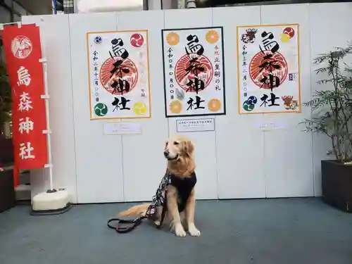 烏森神社の動物