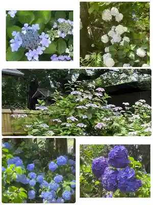 放光寺(山梨県)