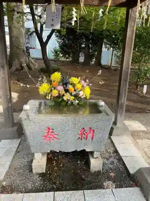 旭鎮守八幡神社の{uncategorized: "未分類", other: "その他", undefined: "問題あり", building: "その他建物", grave: "お墓", sacred_gate: "鳥居", guardian: "狛犬", statue: "像", buddha: "仏像", history: "歴史", nature: "自然", garden: "庭園", animal: "動物", pagoda: "塔", temizu: "手水舎", mountain_gate: "山門・神門", sanctuary: "本殿・本堂", subordinate: "末社・摂社", art: "芸術", scenery: "景色", jizo: "地蔵", ema: "絵馬", goshuin: "御朱印", omikuji: "おみくじ", items: "授与品その他", amulet: "お守り", goshuincho: "御朱印帳", eats: "食事", festival: "お祭り", votive_dance: "神楽", shichigosan: "七五三参", wedding: "結婚式", experience: "体験その他", initially: "初詣", around: "周辺", anti_infection: "感染症対策"}