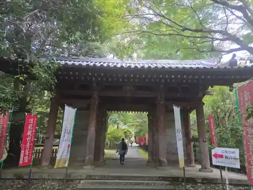 醍醐寺(京都府)