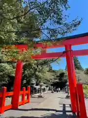 諏訪神社の鳥居