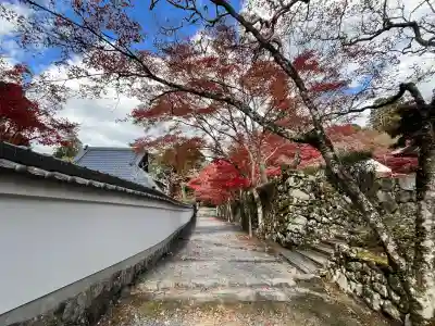 神峯山寺(大阪府)