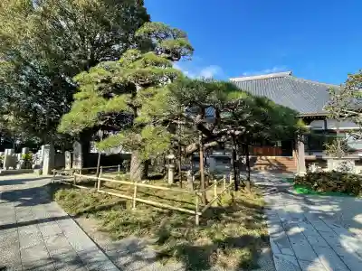 西方寺の{uncategorized: "未分類", other: "その他", undefined: "問題あり", building: "その他建物", grave: "お墓", sacred_gate: "鳥居", guardian: "狛犬", statue: "像", buddha: "仏像", history: "歴史", nature: "自然", garden: "庭園", animal: "動物", pagoda: "塔", temizu: "手水舎", mountain_gate: "山門・神門", sanctuary: "本殿・本堂", subordinate: "末社・摂社", art: "芸術", scenery: "景色", jizo: "地蔵", ema: "絵馬", goshuin: "御朱印", omikuji: "おみくじ", items: "授与品その他", amulet: "お守り", goshuincho: "御朱印帳", eats: "食事", festival: "お祭り", votive_dance: "神楽", shichigosan: "七五三参", wedding: "結婚式", experience: "体験その他", initially: "初詣", around: "周辺", anti_infection: "感染症対策"}