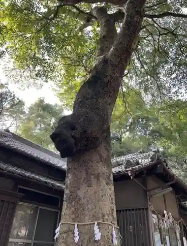 氷川女體神社の自然