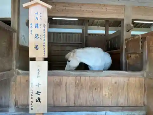 金刀比羅宮(香川県)