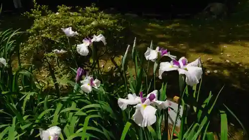 賀茂別雷神社（上賀茂神社）の庭園