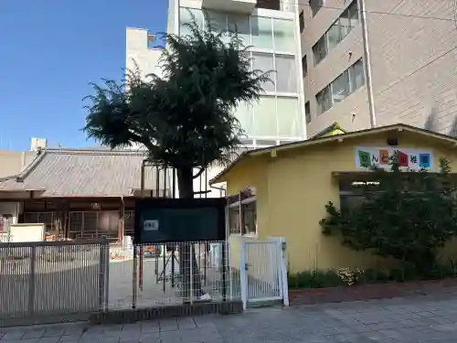 専徳寺の{uncategorized: "未分類", other: "その他", undefined: "問題あり", building: "その他建物", grave: "お墓", sacred_gate: "鳥居", guardian: "狛犬", statue: "像", buddha: "仏像", history: "歴史", nature: "自然", garden: "庭園", animal: "動物", pagoda: "塔", temizu: "手水舎", mountain_gate: "山門・神門", sanctuary: "本殿・本堂", subordinate: "末社・摂社", art: "芸術", scenery: "景色", jizo: "地蔵", ema: "絵馬", goshuin: "御朱印", omikuji: "おみくじ", items: "授与品その他", amulet: "お守り", goshuincho: "御朱印帳", eats: "食事", festival: "お祭り", votive_dance: "神楽", shichigosan: "七五三参", wedding: "結婚式", experience: "体験その他", initially: "初詣", around: "周辺", anti_infection: "感染症対策"}