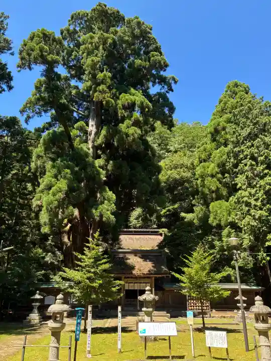 若狭姫神社(若狭彦神社下社)(福井県)