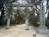 住吉神社の{uncategorized: "未分類", other: "その他", undefined: "問題あり", building: "その他建物", grave: "お墓", sacred_gate: "鳥居", guardian: "狛犬", statue: "像", buddha: "仏像", history: "歴史", nature: "自然", garden: "庭園", animal: "動物", pagoda: "塔", temizu: "手水舎", mountain_gate: "山門・神門", sanctuary: "本殿・本堂", subordinate: "末社・摂社", art: "芸術", scenery: "景色", jizo: "地蔵", ema: "絵馬", goshuin: "御朱印", omikuji: "おみくじ", items: "授与品その他", amulet: "お守り", goshuincho: "御朱印帳", eats: "食事", festival: "お祭り", votive_dance: "神楽", shichigosan: "七五三参", wedding: "結婚式", experience: "体験その他", initially: "初詣", around: "周辺", anti_infection: "感染症対策"}