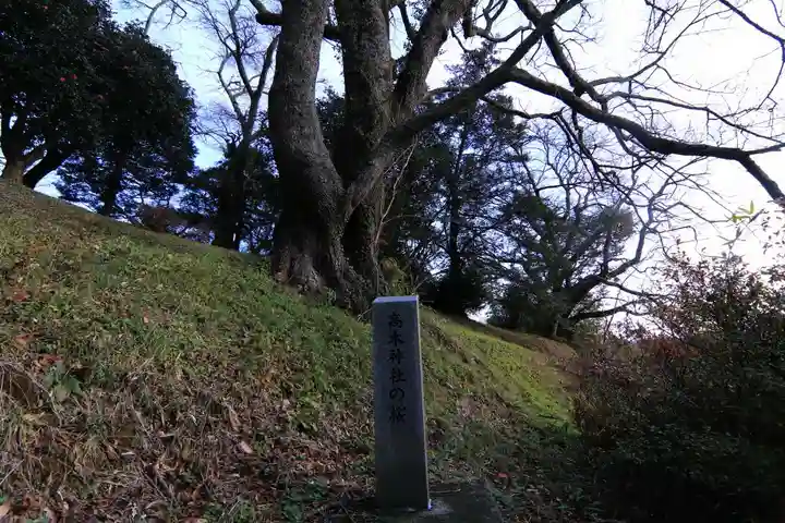 高木神社の自然