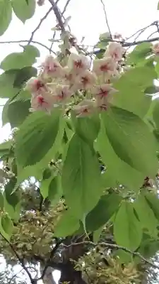 下神明天祖神社(東京都)