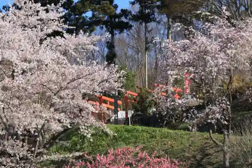 高屋敷稲荷神社の景色