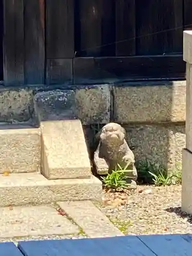 神泉苑の狛犬