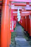 佐助稲荷神社の鳥居